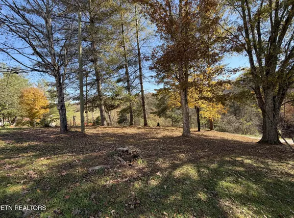 Luttrell, TN 37779,517 Bull Run Rd