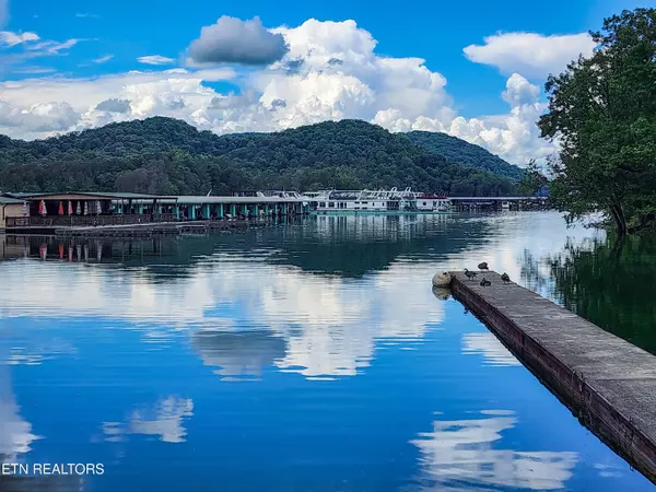 Maynardville, TN 37807,164 Dogwood Tr