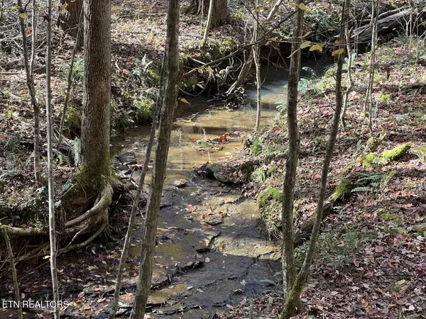 Allardt, TN 38504,523 Honey Creek Loop Rd