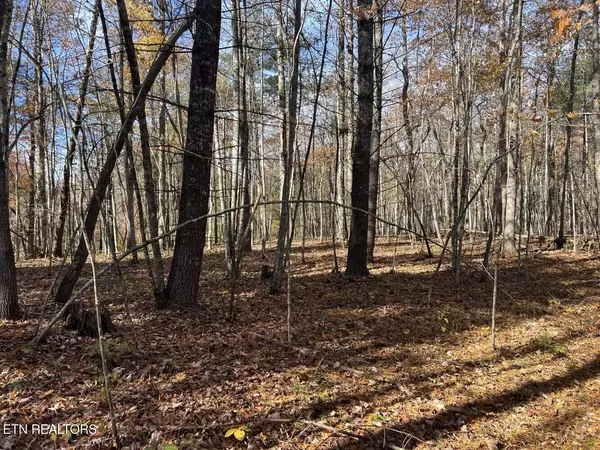 Allardt, TN 38504,523 Honey Creek Loop Rd