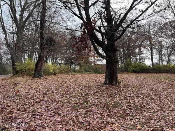 Morristown, TN 37814,308 Branner St