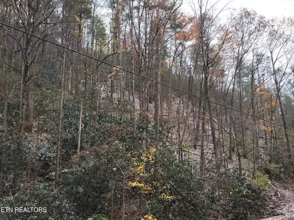 Lot 35/36 Alpine DR, Sevierville, TN 37876