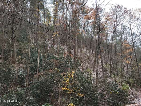 Lot 35/36 Alpine DR, Sevierville, TN 37876
