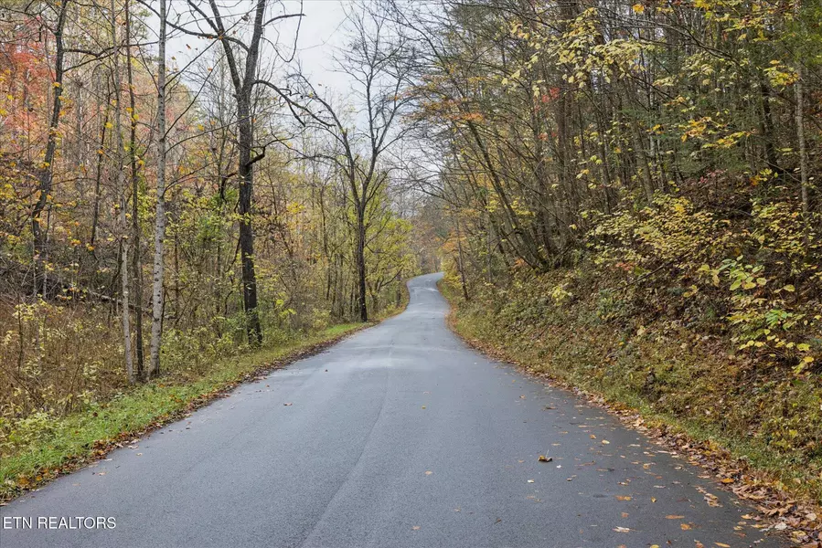 TBD Evans Chapel Rd, Sevierville, TN 37876