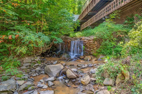 Gatlinburg, TN 37738,1435 Wiley Oakley DR #176