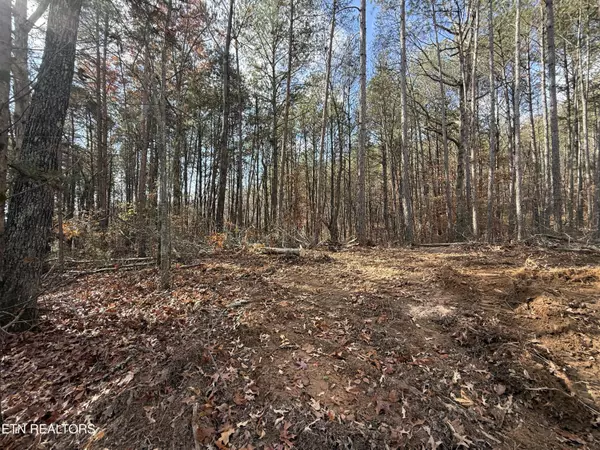 Benton, TN 37307,Lot 4 Parksville Road