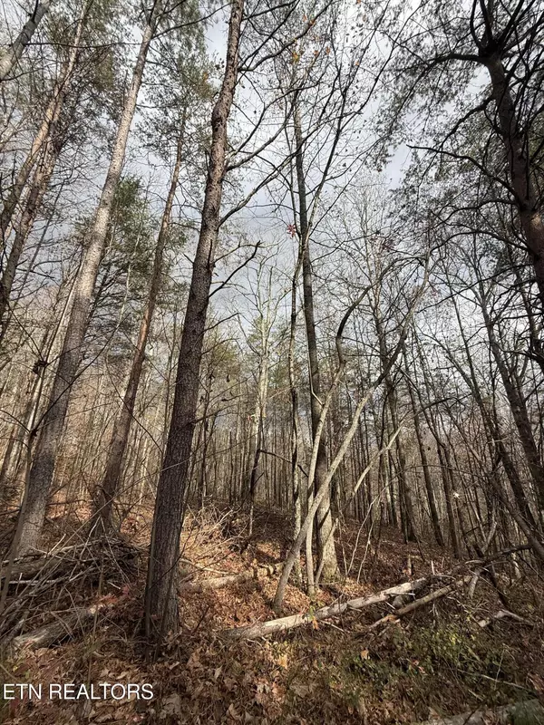 Benton, TN 37307,Lot 2 Parksville Road