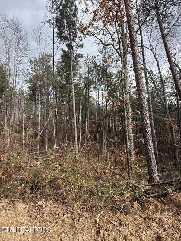 Benton, TN 37307,Lot 2 Parksville Road