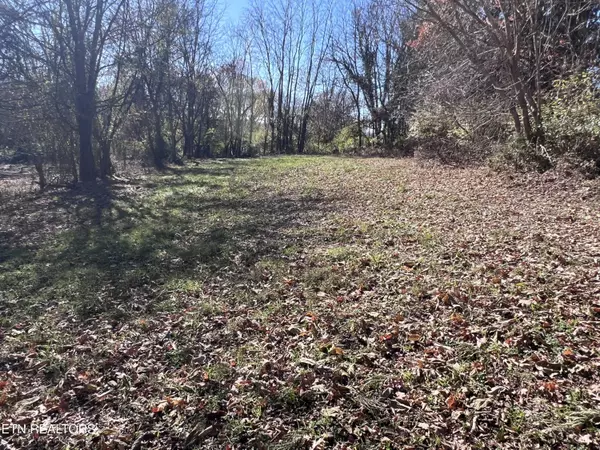 White Pine, TN 37890,OFF Jefferson St