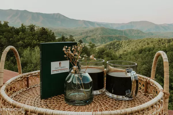 Gatlinburg, TN 37738,1052 Foothills DR