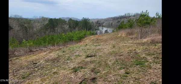 Vonore, TN 37885,Lot 77 Saddleback Drive