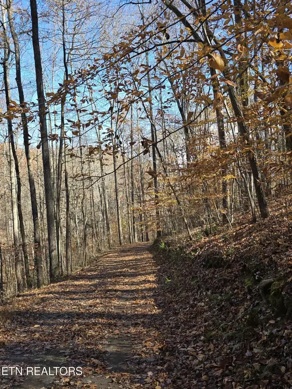 Lafollette, TN 37766,127 Lark LN