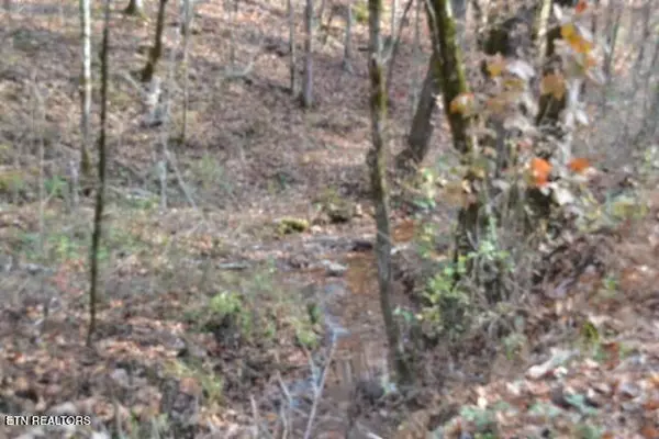 Celina, TN 38551,6.70ac Wet Mill Creek Rd