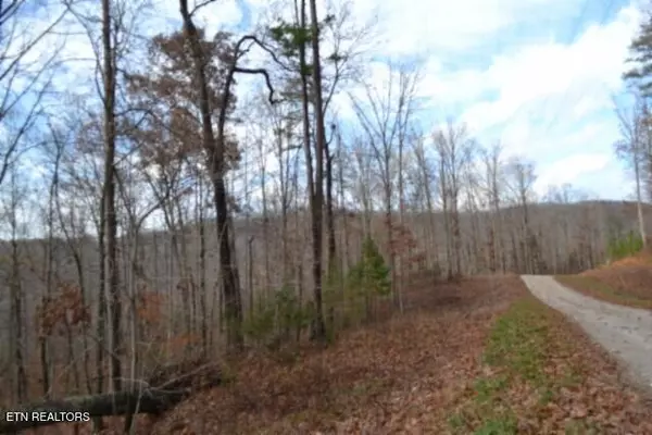Jamestown, TN 38556,Lot 75 Tomahawk Rd