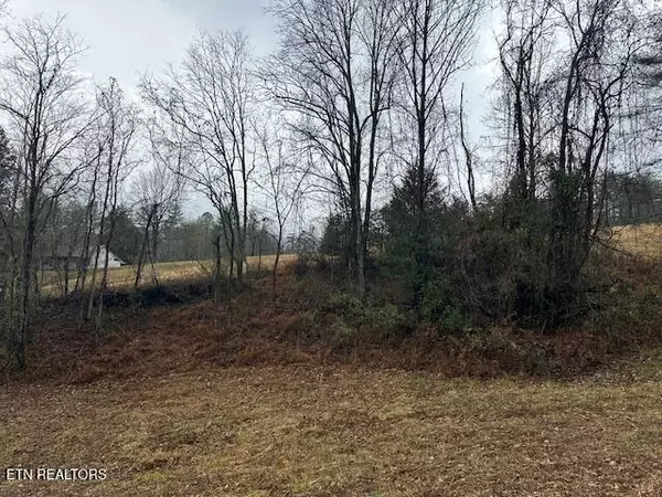 Del Rio, TN 37727,680 Bug Branch Rd