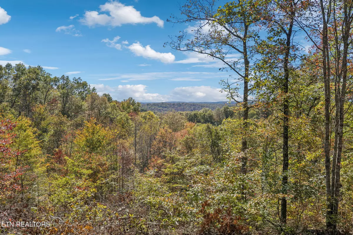 Robbins, TN 37852,Sheep Ranch Rd