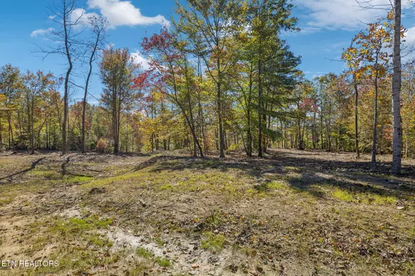 Robbins, TN 37852,Sheep Ranch Rd