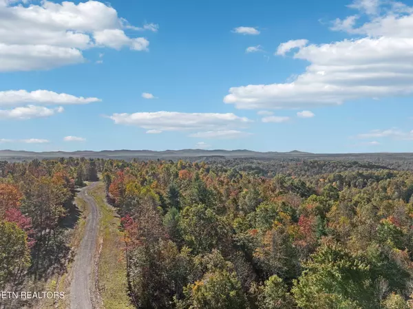 Robbins, TN 37852,Sheep Ranch Rd