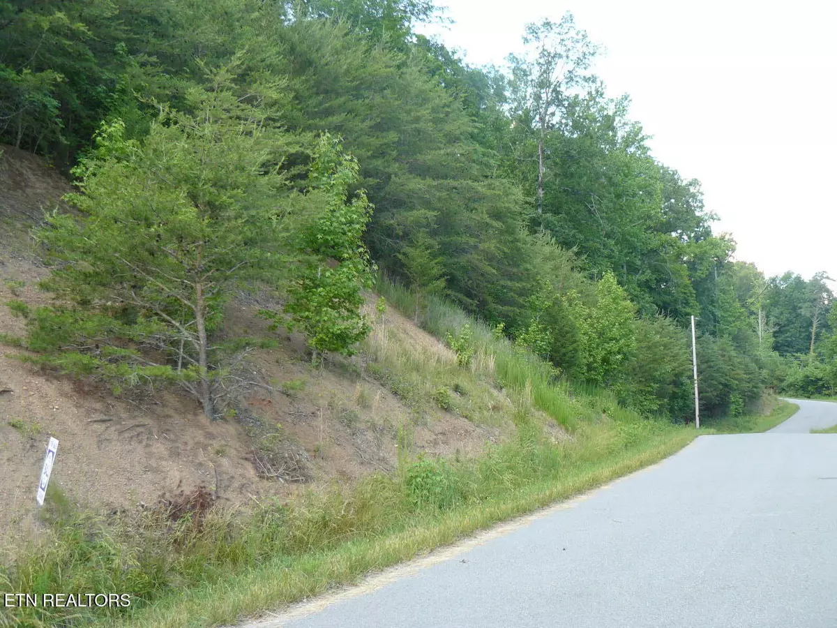 New Tazewell, TN 37825,Lot 539 Whistle Valley Rd