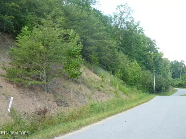 Lot 539 Whistle Valley Rd, New Tazewell, TN 37825