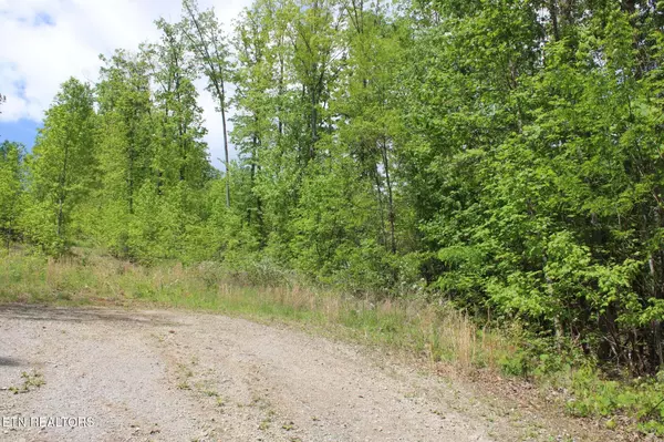 Crab Orchard, TN 37723,Lower Eagles Nest Rd