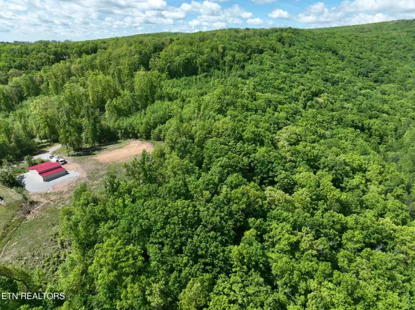 Crab Orchard, TN 37723,Lower Eagles Nest Rd