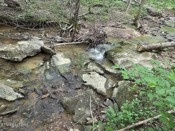 Spencer, TN 38585,235 Sparta St