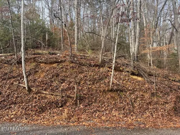 Gatlinburg, TN 37738,Par 202.03 Autumn LN