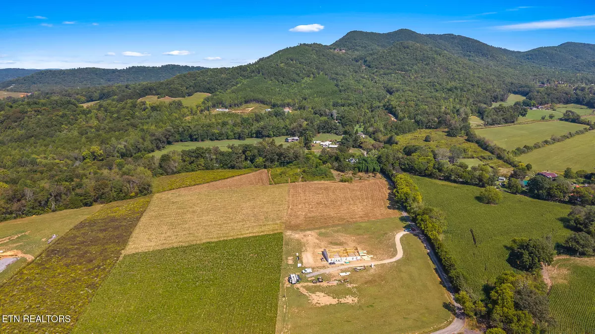 Tellico Plains, TN 37385,00 Tree Top LN