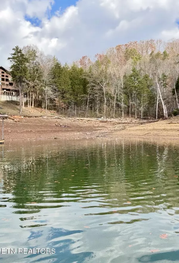 Speedwell, TN 37870,Bridle WAY