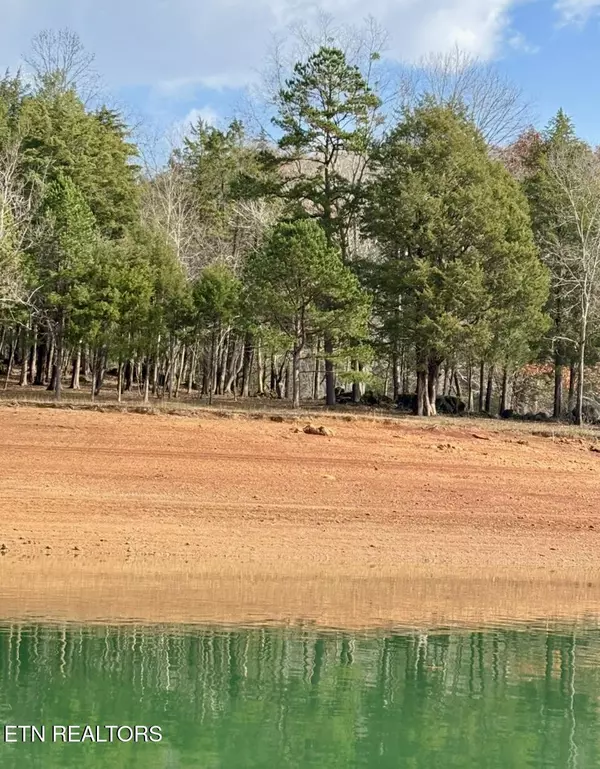 Speedwell, TN 37870,Bridle WAY