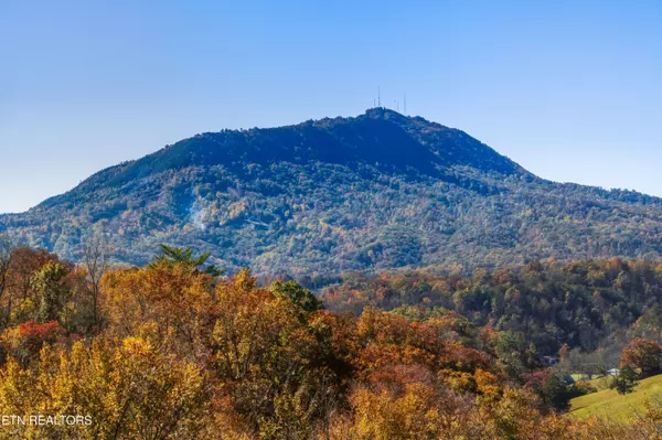 Sevierville, TN 37876,686 Stockton DR