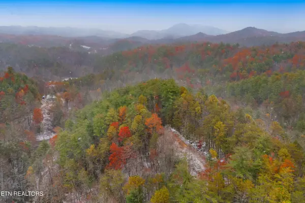 Hartford, TN 37753,Old 15Th Rd