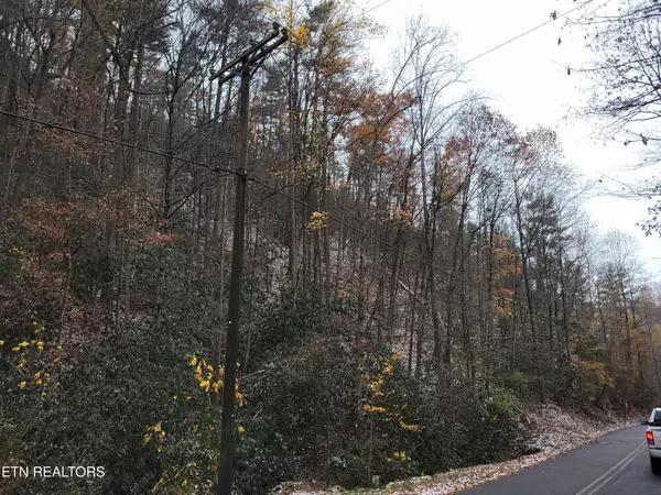 Sevierville, TN 37876,Lot 37/38 Alpine DR