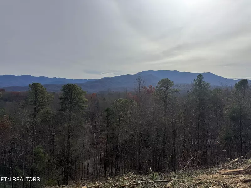 Lot 2 Vista DR, Gatlinburg, TN 37738