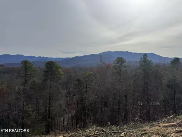 Gatlinburg, TN 37738,Lot 2 Vista DR