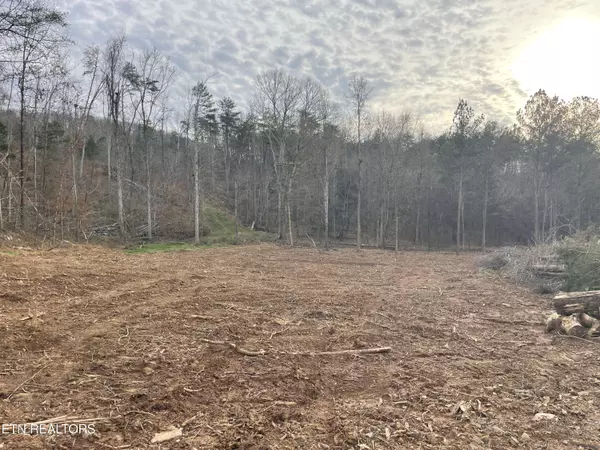 Decatur, TN 37322,1.50 Acres Robbies LN