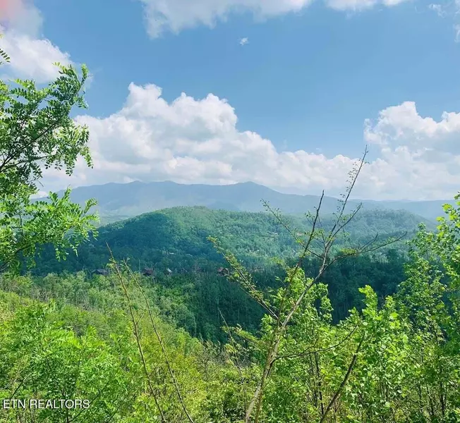 Kristis Place PL, Gatlinburg, TN 37738