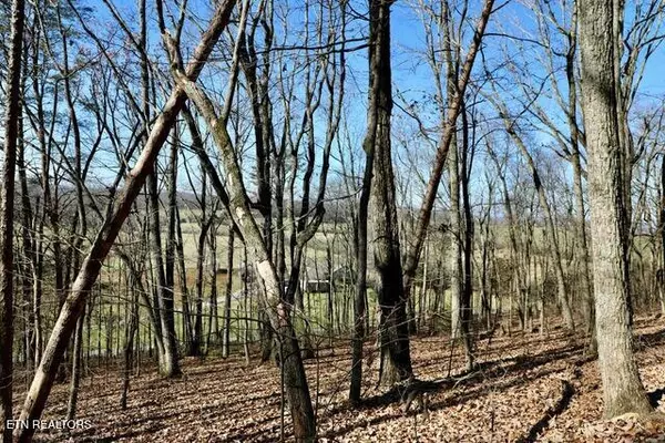 Niota, TN 37826,782 County Road 279