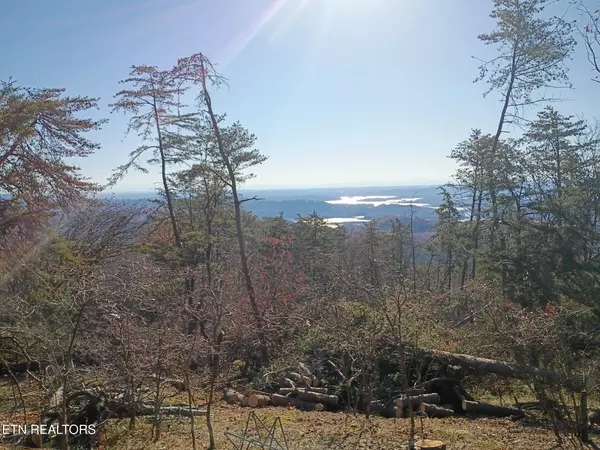 Bean Station, TN 37708,Part of Lot 10 Wallen LN