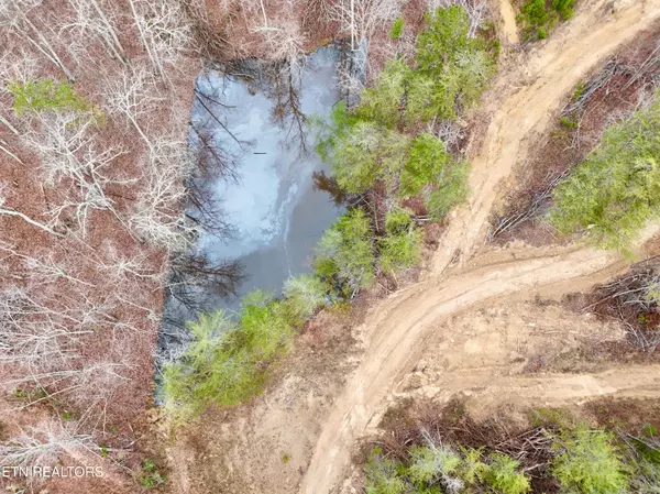 Kingston, TN 37763,Laurel Bluff Rd