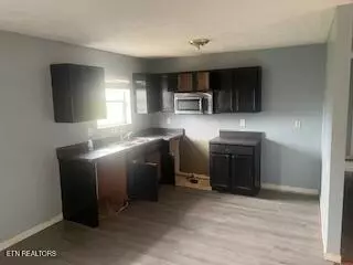 Sevierville, TN 37862,1465 Jasmine Trail Tr