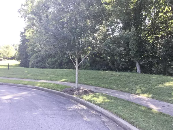 Lot 101 Hammock LN, Knoxville, TN 37934