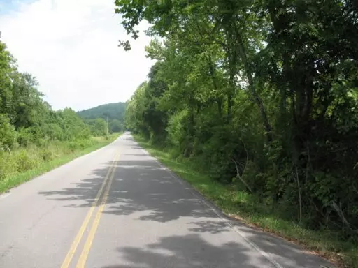 Lot 25 No Pone Valley Rd, Decatur, TN 37322