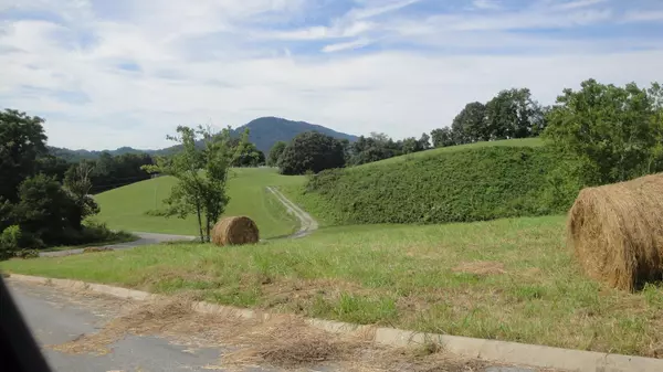 Tazewell, TN 37879,L 40 Perkey Way