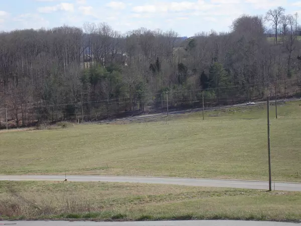 Rutledge, TN 37861,Lot 60 Washita LN