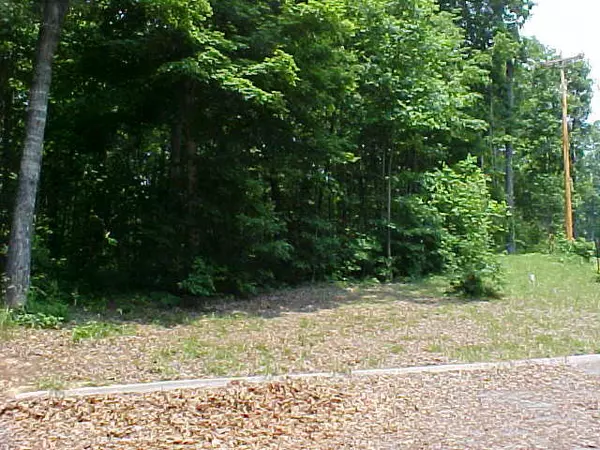 Rutledge, TN 37861,Lot 52 Cherokee DR