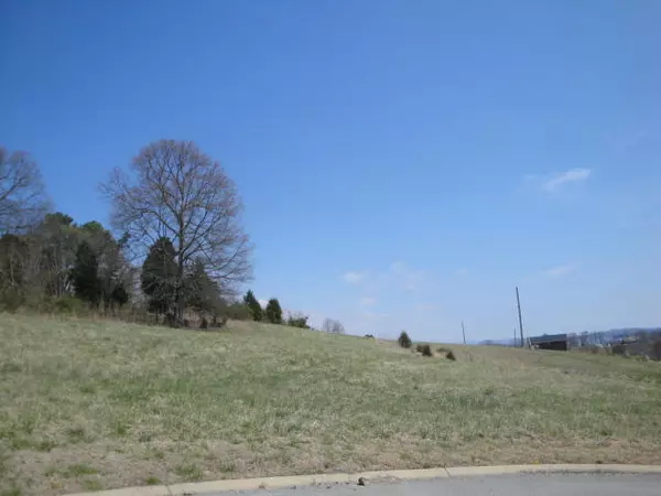 Rutledge, TN 37861,Lot 36 Chavis LN