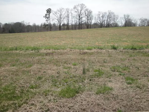 Rutledge, TN 37861,Lot 45 Chippewa LN