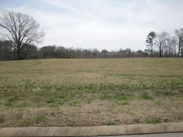 Rutledge, TN 37861,Lot 47 Chippewa LN